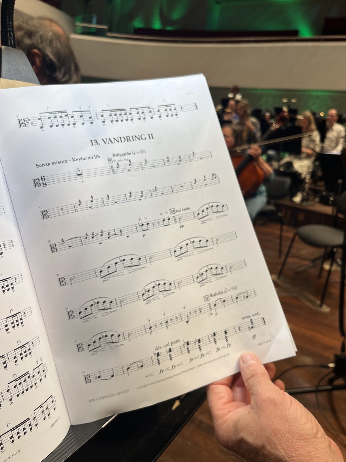Viola part, The Neverending Maze